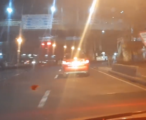 Brave Motorist