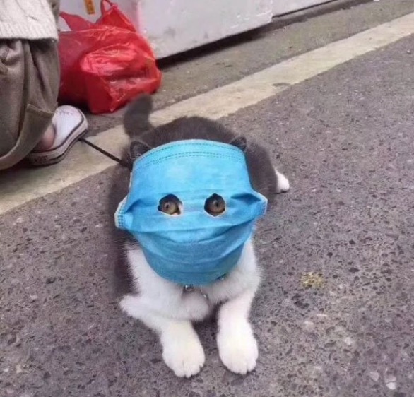 Concerned Owner