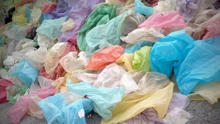 Single-Use Plastic