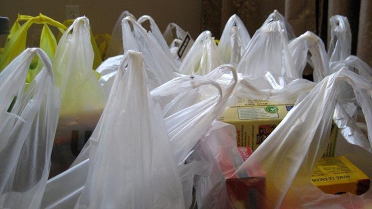 Single-Use Plastic