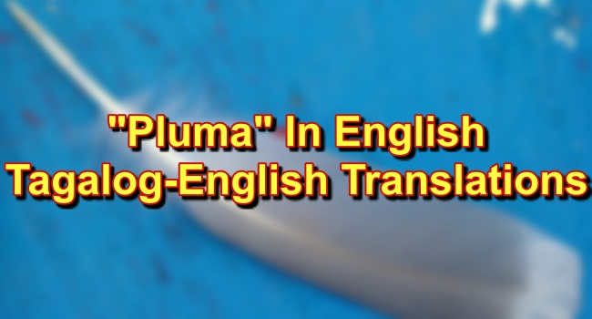 What Does La Pluma Mean In English