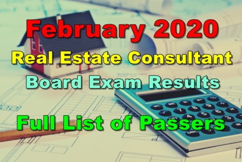 Real Estate Consultant