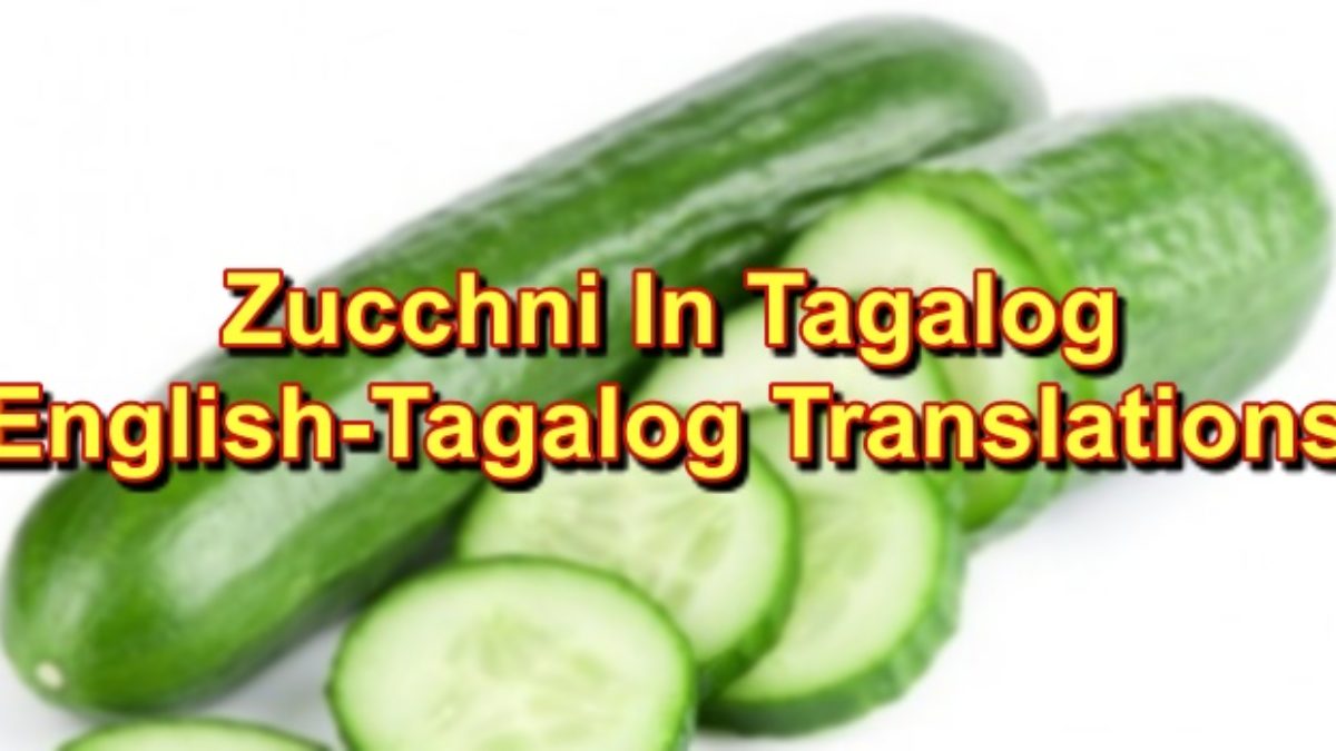 Zucchini In Tagalog English To Tagalog Translations