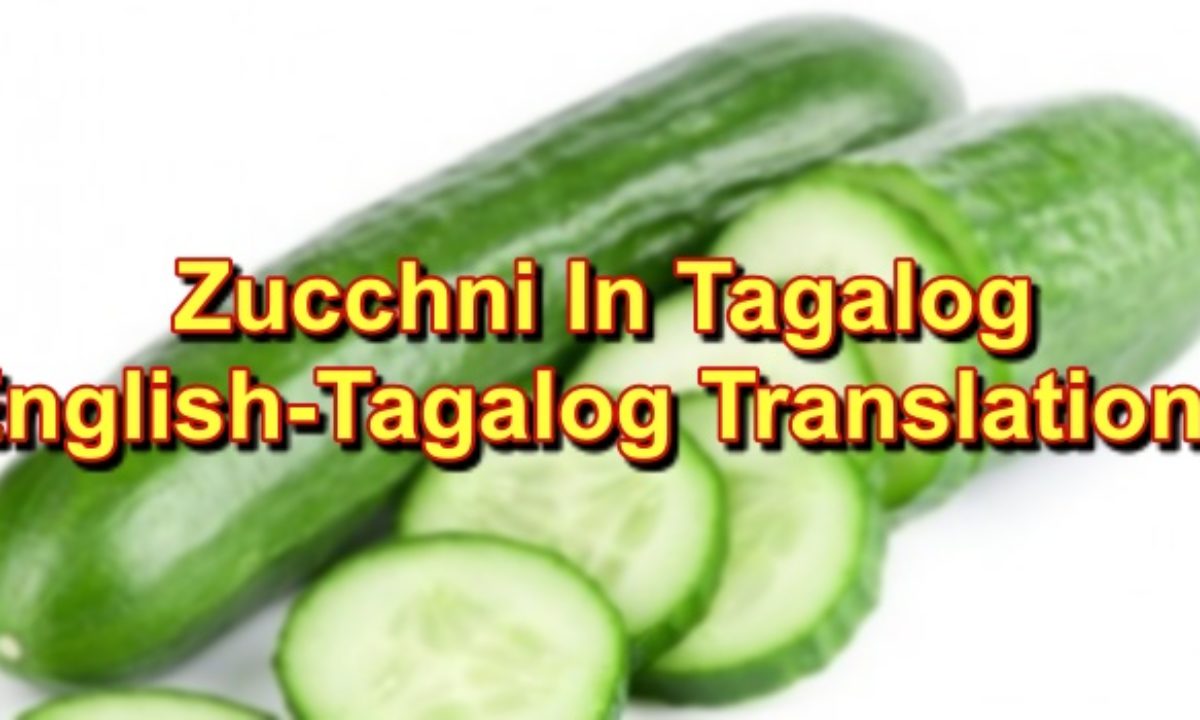 Zucchini In alog English To alog Translations