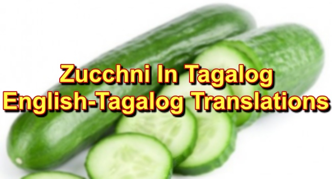 zucchini-in-tagalog-english-to-tagalog-translations