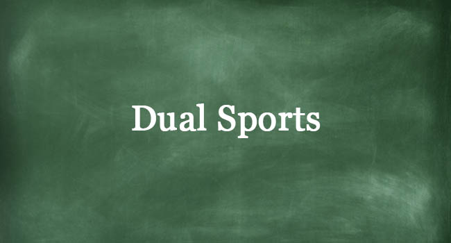 dual-sports-examples-example-of-these-sports