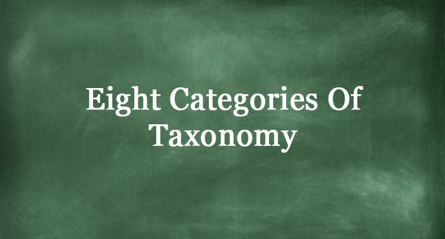 Eight Categories Of Taxonomy