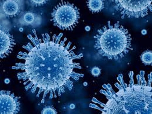 Hantavirus