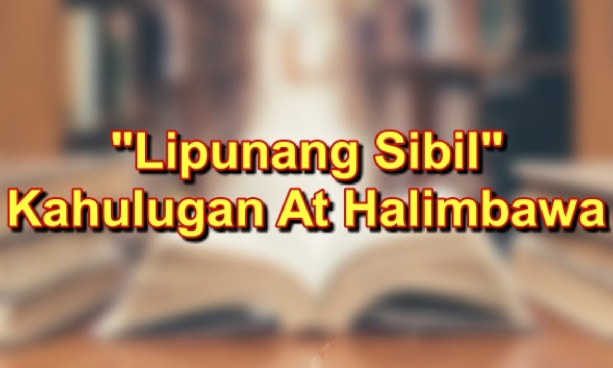 Magbigay Ng Mga Halimbawa Ng Lipunang Sibil