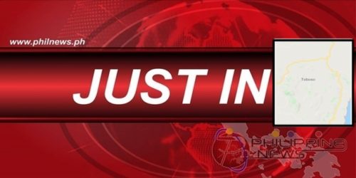 Negros Occidental Councilor