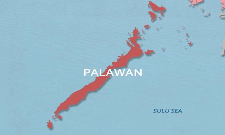 Palawan Governor Declares State Of Calamity Due to COVID-19 Threat