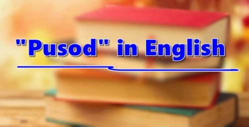 Pusod in English