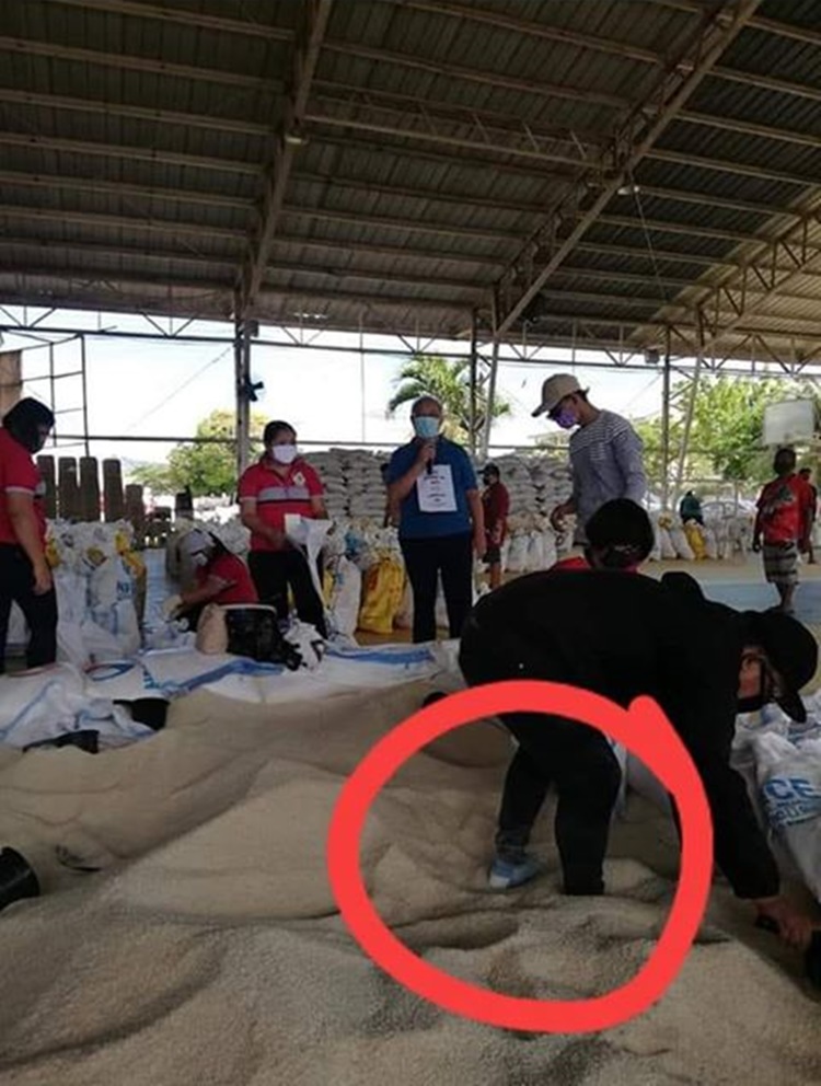 Volunteers