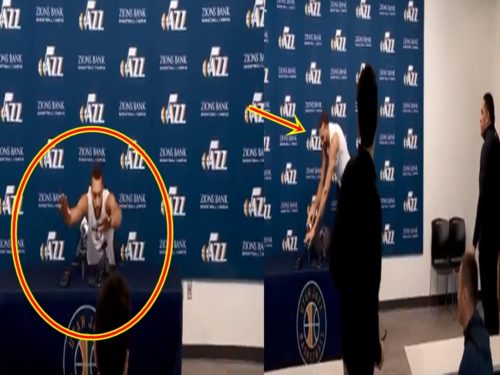 Rudy Gobert