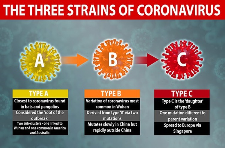 6 different types of covid 19 virus