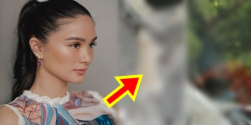 Heart Evangelista Pug 1