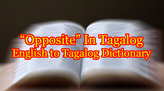OPPOSITE IN TAGALOG