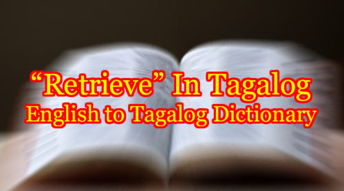 RETRIEVE IN TAGALOGRETRIEVE IN TAGALOG