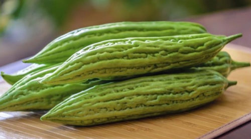 SCIENTIFIC NAME OF AMPALAYA