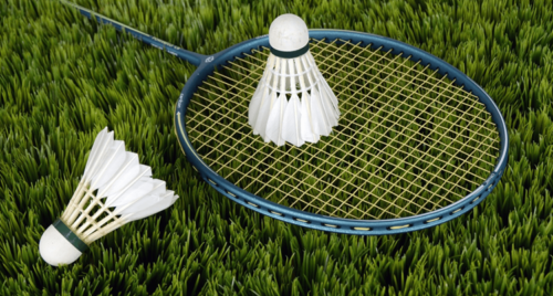 Sports Badminton Racket Parts Definitions