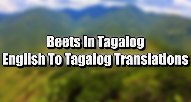 Beets In Tagalog - English To Tagalog Translations