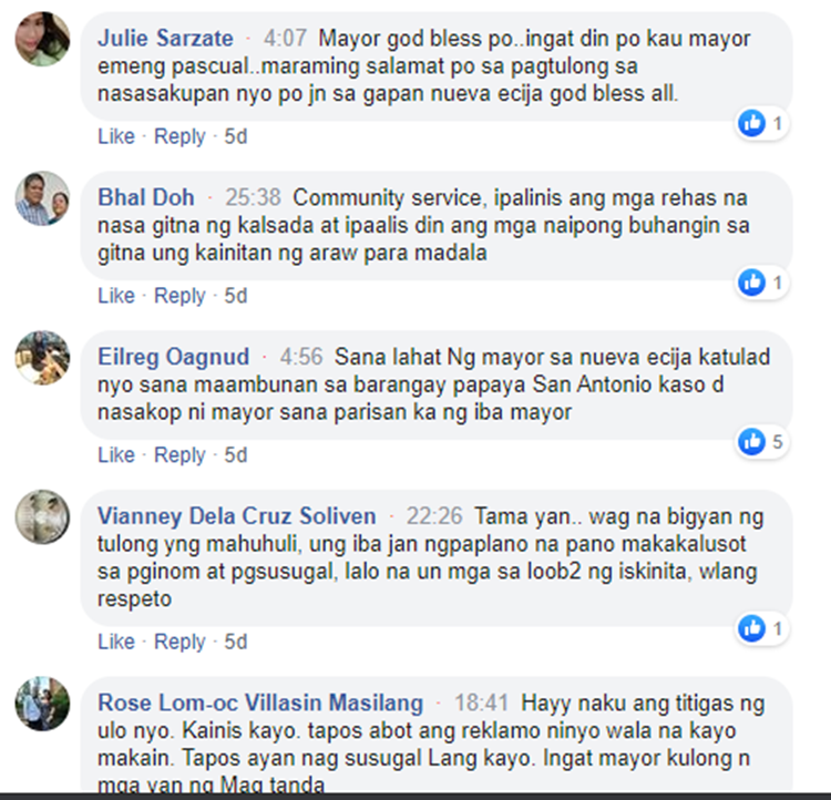 Nueva Ecija Town Mayor