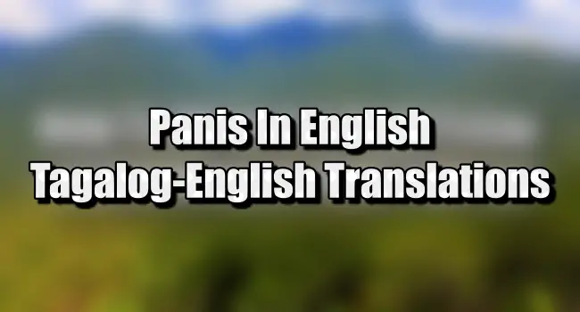 Panis In English - Tagalog To English Translations!!