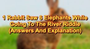 1 Rabbit Saw 6 Elephants Riddle - Answers And Explanation