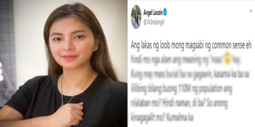 Angel Locsin netizen 1