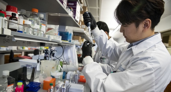 Triple Drug Therapy For COVID-19 Patients More Effective Says Study