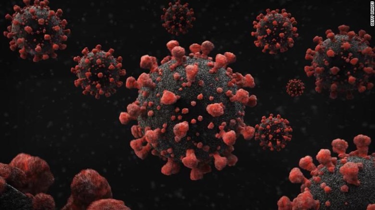 Total Coronavirus Cases in the World