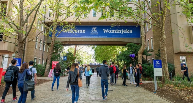 Australian Universities Offers Free Online Courses Amid Quarantine