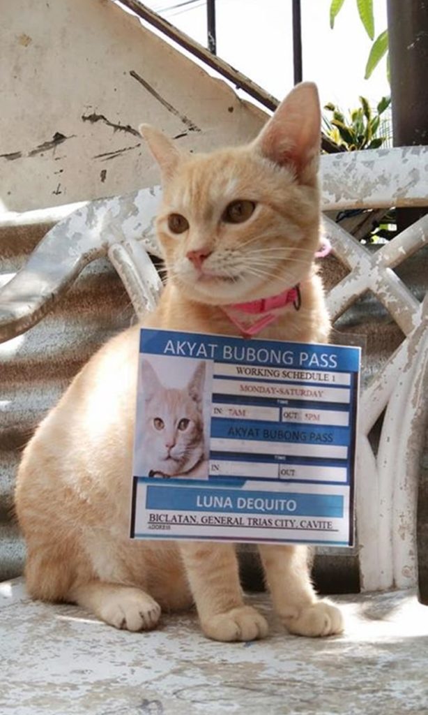 Akyat Bubong