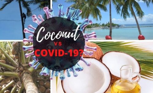 coronavirus treatment virgin coconut oil