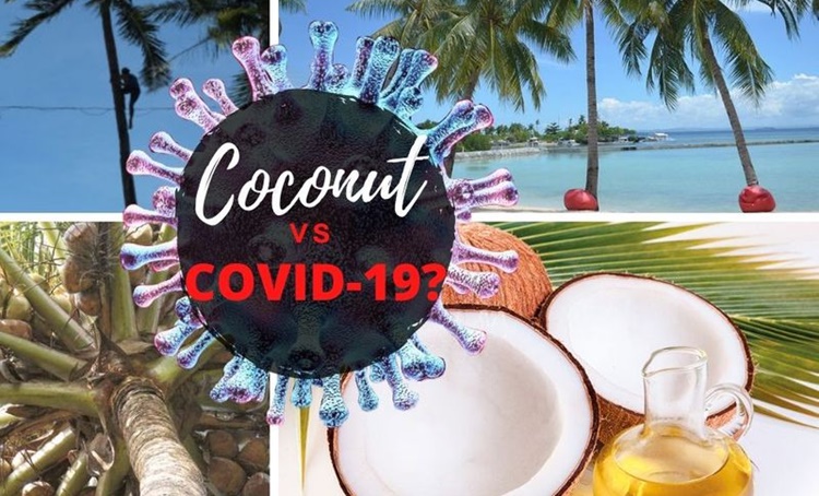 coronavirus treatment virgin coconut oil