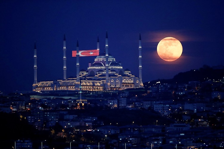 Flower Moon
