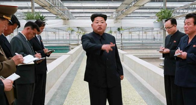 Kim Jong-Un Defectors Apologized For Leaks Of His "Death"