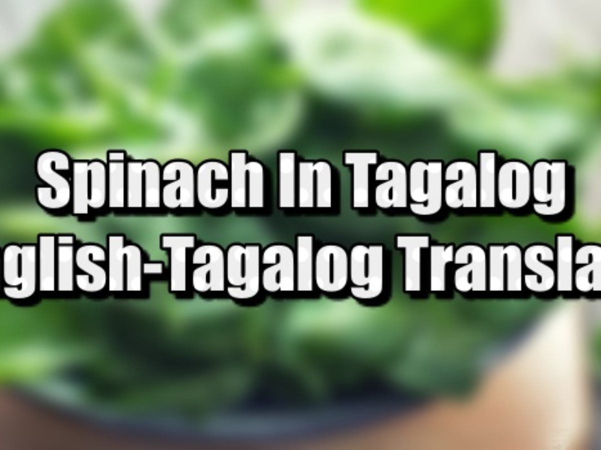 Spinach In alog English To alog Translations