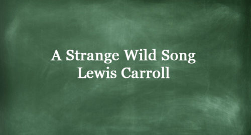 A STRANGE WILD SONG