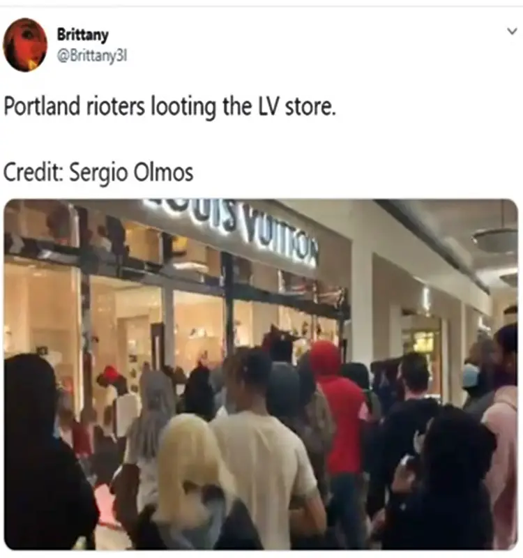 Louis Vuitton Bags and Its Prices From Looting Incident In Portland