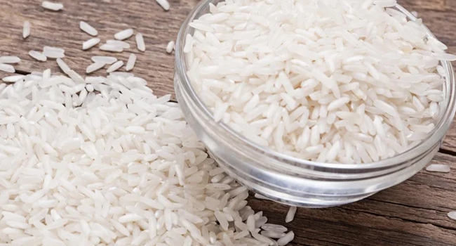 what-is-the-scientific-name-of-rice-answers