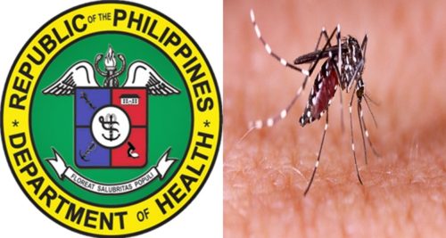 Western Visayas Gets Warned About Dengue Surge Amid COVID-19