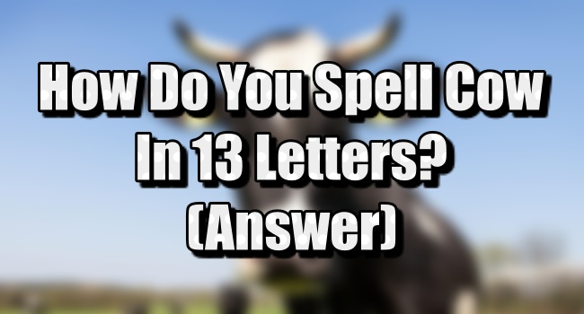 Cow In 13 Letters - How To Spell/Write Cow In 13 Letters Answer