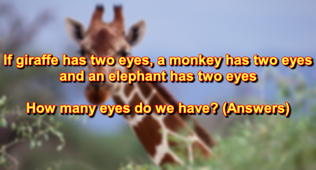 If A Giraffe Has Two Eyes Answer - Explanation And More