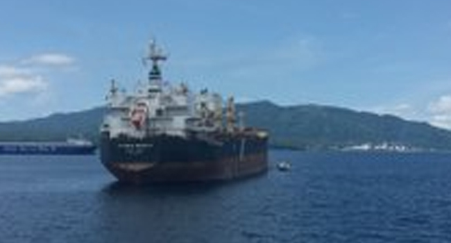 MV VIENNA WOOD
