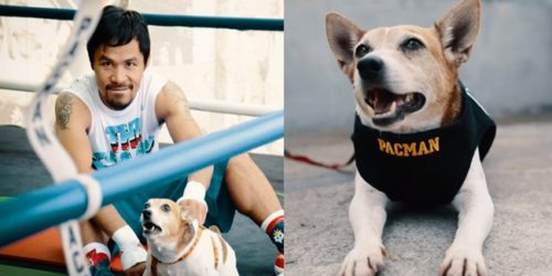 Manny Pacquiao & Pacman 1