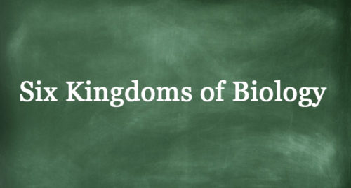 SIX KINGDOMS OF BIOLOGY