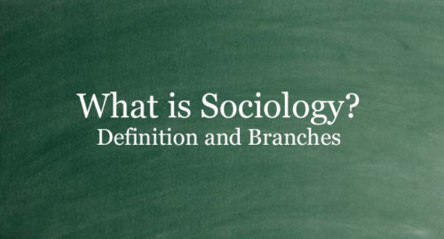 What Is Sociology? Definition And Its Branches - PhilNews