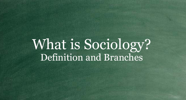 WHAT IS SOCIOLOGY