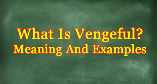 WHAT IS VENGEFUL